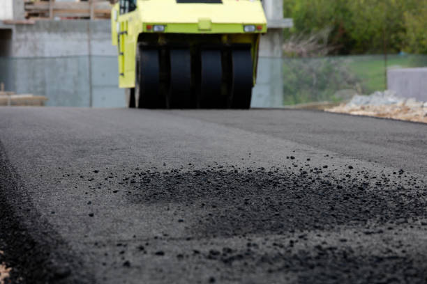 Best Professional Driveway Pavers  in Manassas, VA
