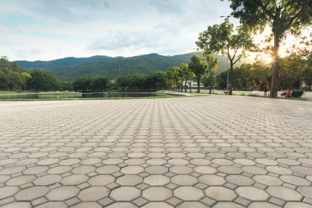 Best Commercial Driveway Pavers  in Manassas, VA